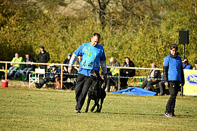 Greif vom Hatzbachtal