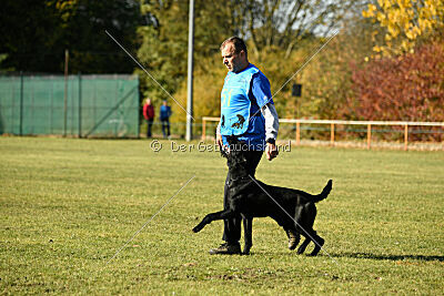 Greif vom Hatzbachtal