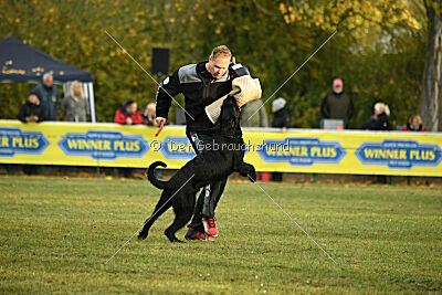 Grinch Grummelbart vom Stedepark