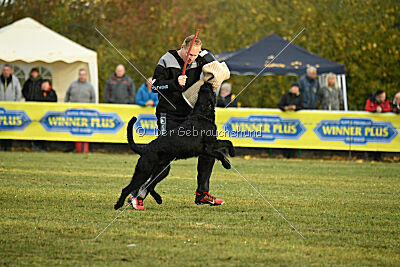 Grinch Grummelbart vom Stedepark