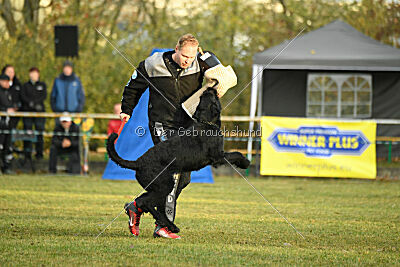 Grinch Grummelbart vom Stedepark