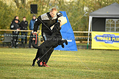 Grinch Grummelbart vom Stedepark
