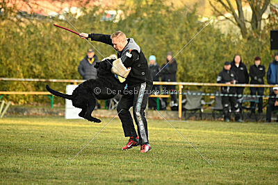 Grinch Grummelbart vom Stedepark