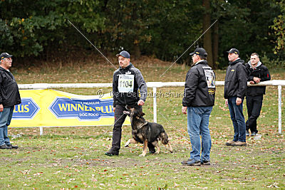 Grisu vom Wolfsdreieck