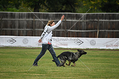 Gucci vom Kalten Born