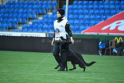 Guccy Yucero Bohemia