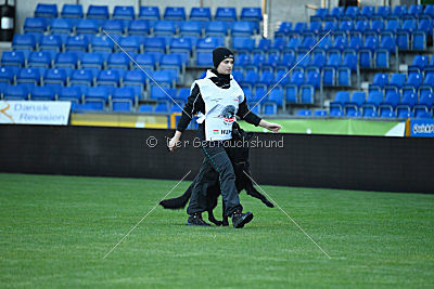 Guccy Yucero Bohemia