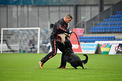 Guccy Yucero Bohemia