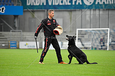 Guccy Yucero Bohemia