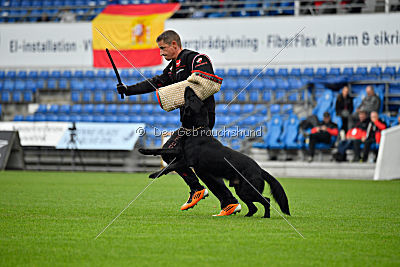 Guccy Yucero Bohemia