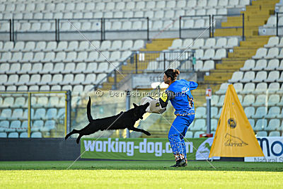 Guccy Yucero Bohemia