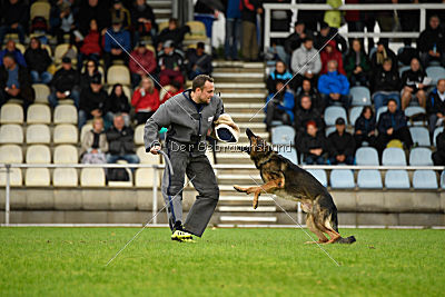 Gun vom bösen Michel