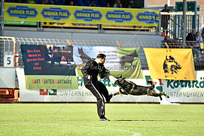 Gwen von den Koschis