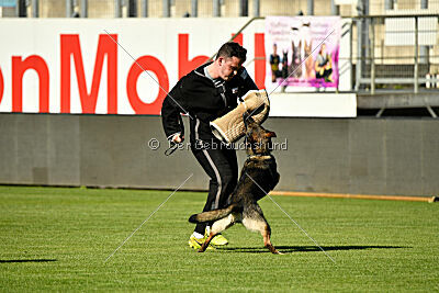 Gwen von den Koschis