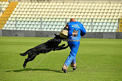 Hacker vom Röhnsaler Bach