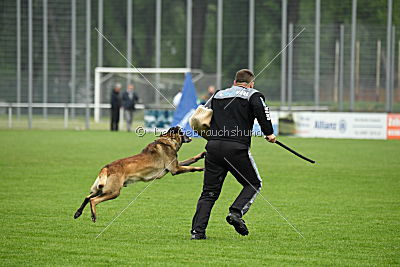 Haddocks von der schoenen Ecke
