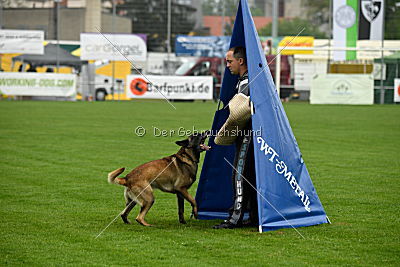 Haddocks von der schoenen Ecke