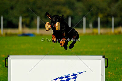 Hades del Pais Baviera