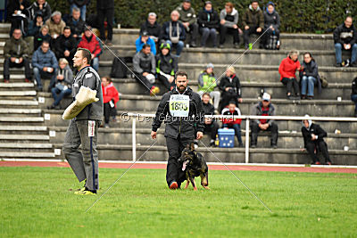 Hades vom Eisernen Kreuz