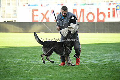 Haider Tempesta del Nordest