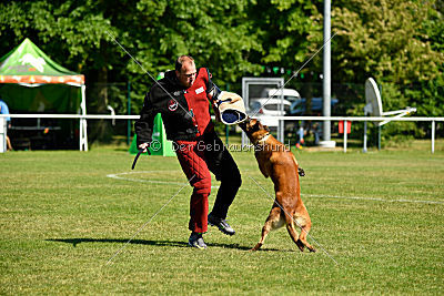 Hanni vom blauen Mistral