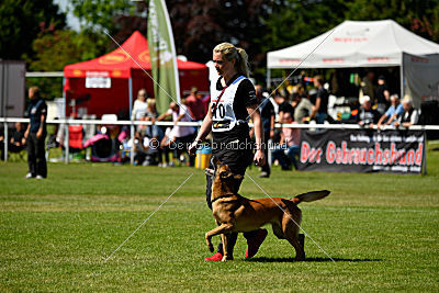 Hanni vom blauen Mistral