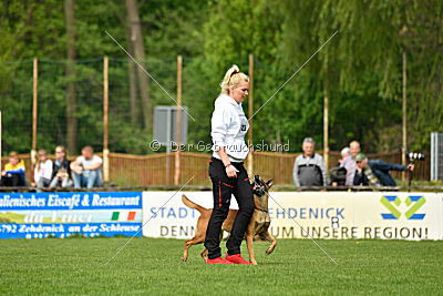 Hanni vom blauen Mistral