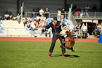 Hannibal von Inis Vitrin