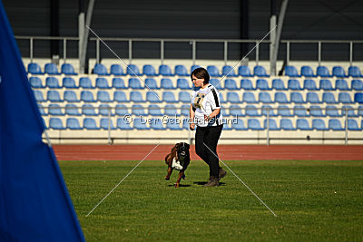 Hannibal von Inis Vitrin