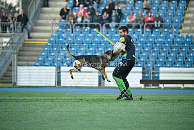 Hanuta vom schwarzen Rubin