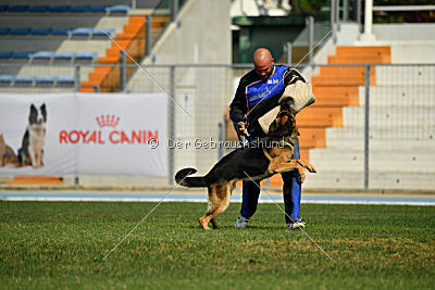 Hawax des Orckis de l'Adret