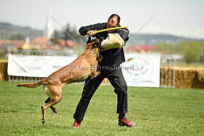 Hector vom Roten Sturm