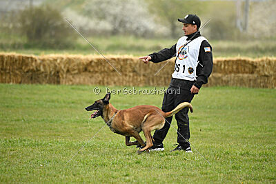 Hector vom Roten Sturm