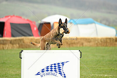 Hector vom Roten Sturm