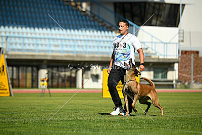 Hector vom Roten Sturm