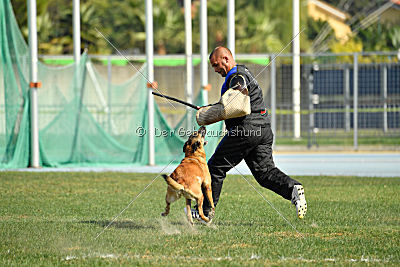 Heizia du Domaine de Rossfelden