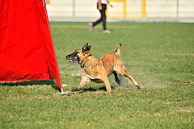 Heizia du Domaine de Rossfelden