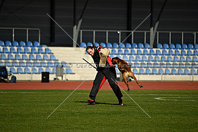 Helge vom Wümminger Hof