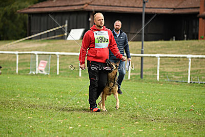 Henrik vom Wolfsheim