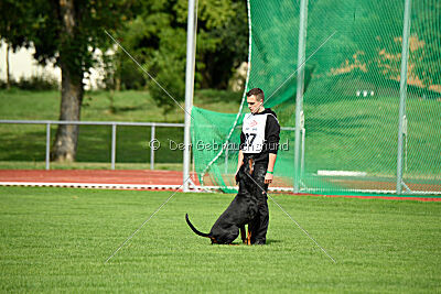 Hermanus of the Two Roses