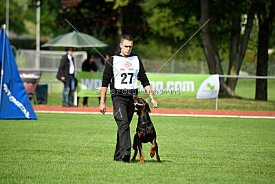 Hermanus of the Two Roses