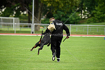 Hermanus of the Two Roses