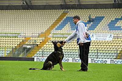 Hermes vom Brachtpetal