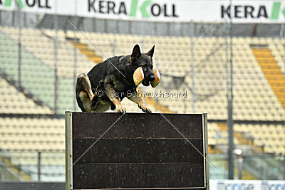 Hermes vom Brachtpetal