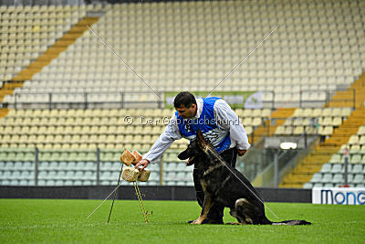 Hermes vom Brachtpetal