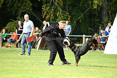 Hero vom Amtsbach
