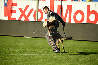 Hesselballe Hugo Junior