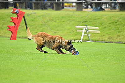 High Drives Harko