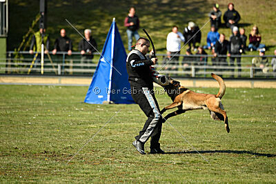 High Drives Harko