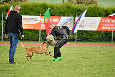 Hip-Hop des Plaines d'Octodure